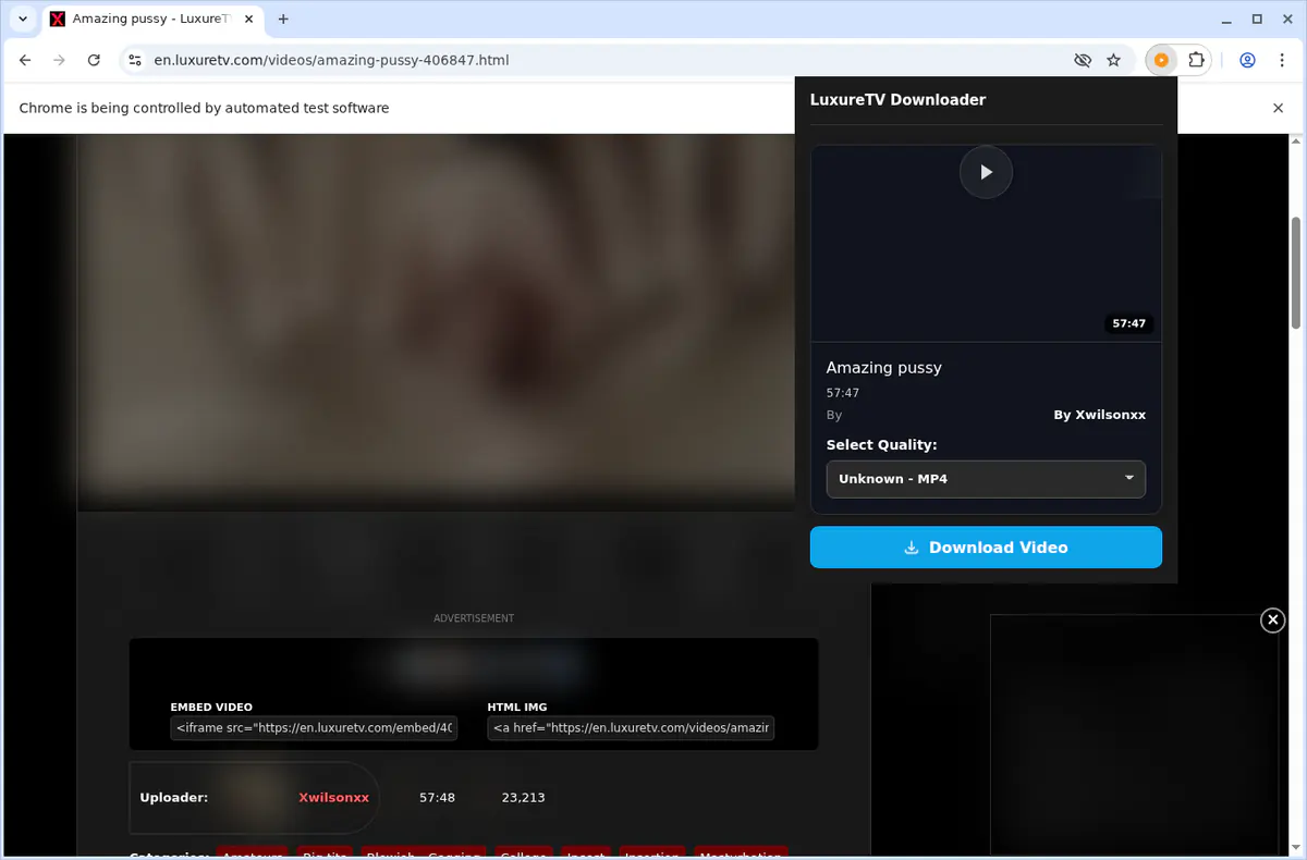 LuxureTV Video Downloader browser extension screenshot 4